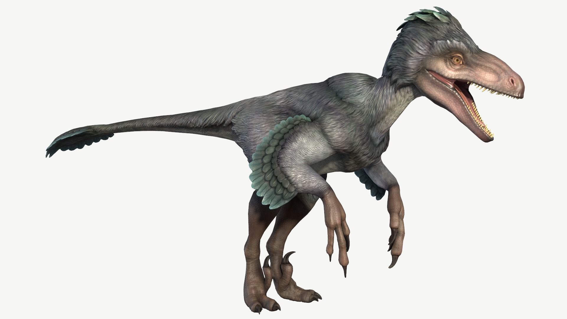 Deinonychus dinosaur Low-poly 3D model_1