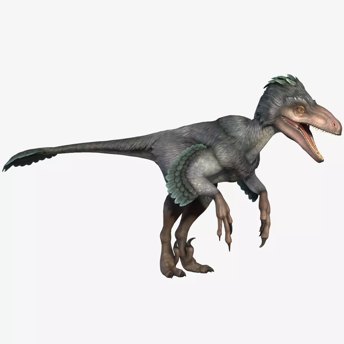 Deinonychus dinosaur Low-poly 3D model_0