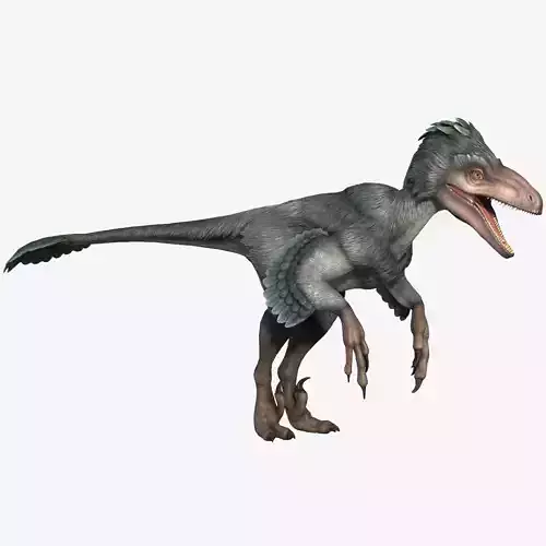 Deinonychus dinosaur Low-poly 3D model