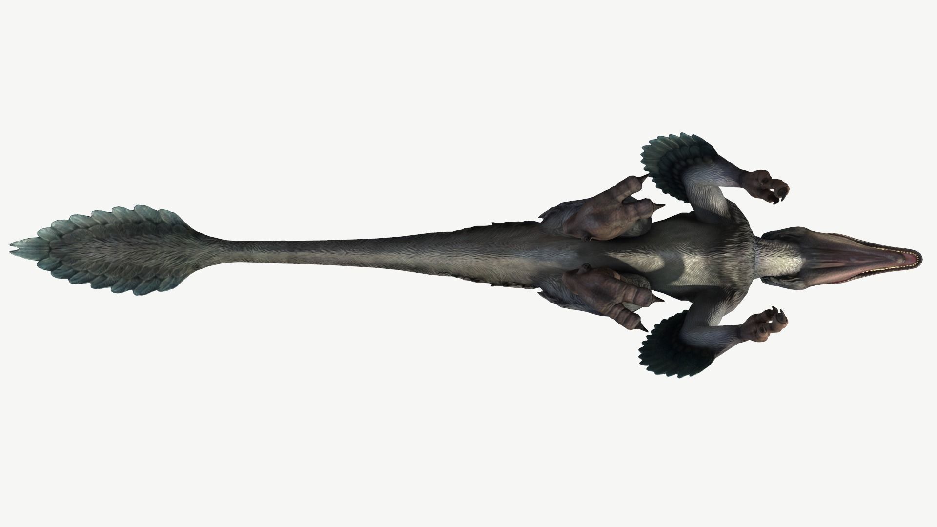 Deinonychus dinosaur Low-poly 3D model_9