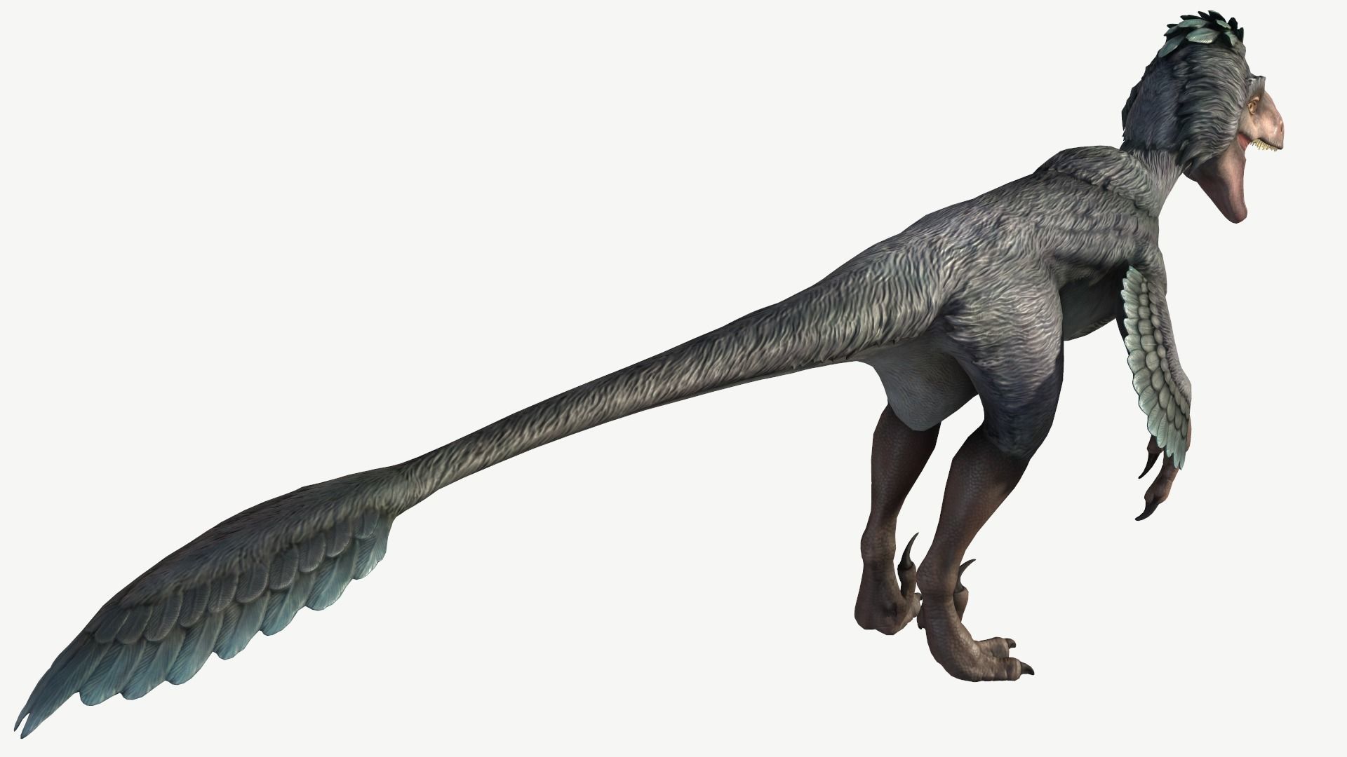 Deinonychus dinosaur Low-poly 3D model_5