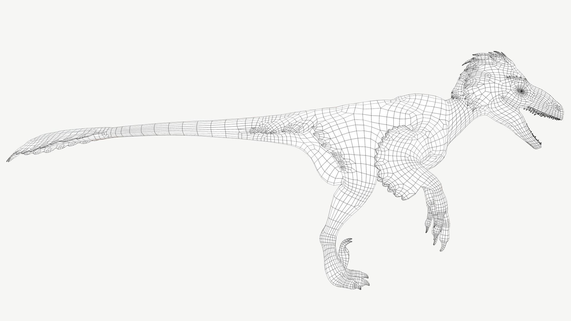Deinonychus dinosaur Low-poly 3D model_4