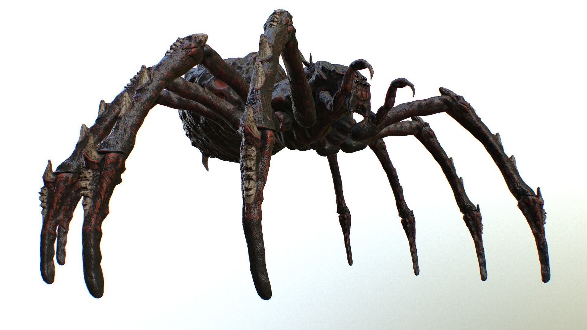 Spider Warrior Low-poly 3D model_21