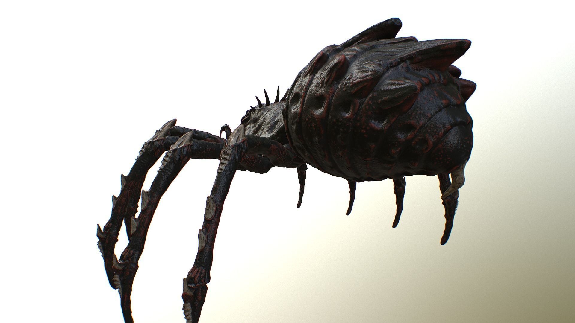 Spider Warrior Low-poly 3D model_19