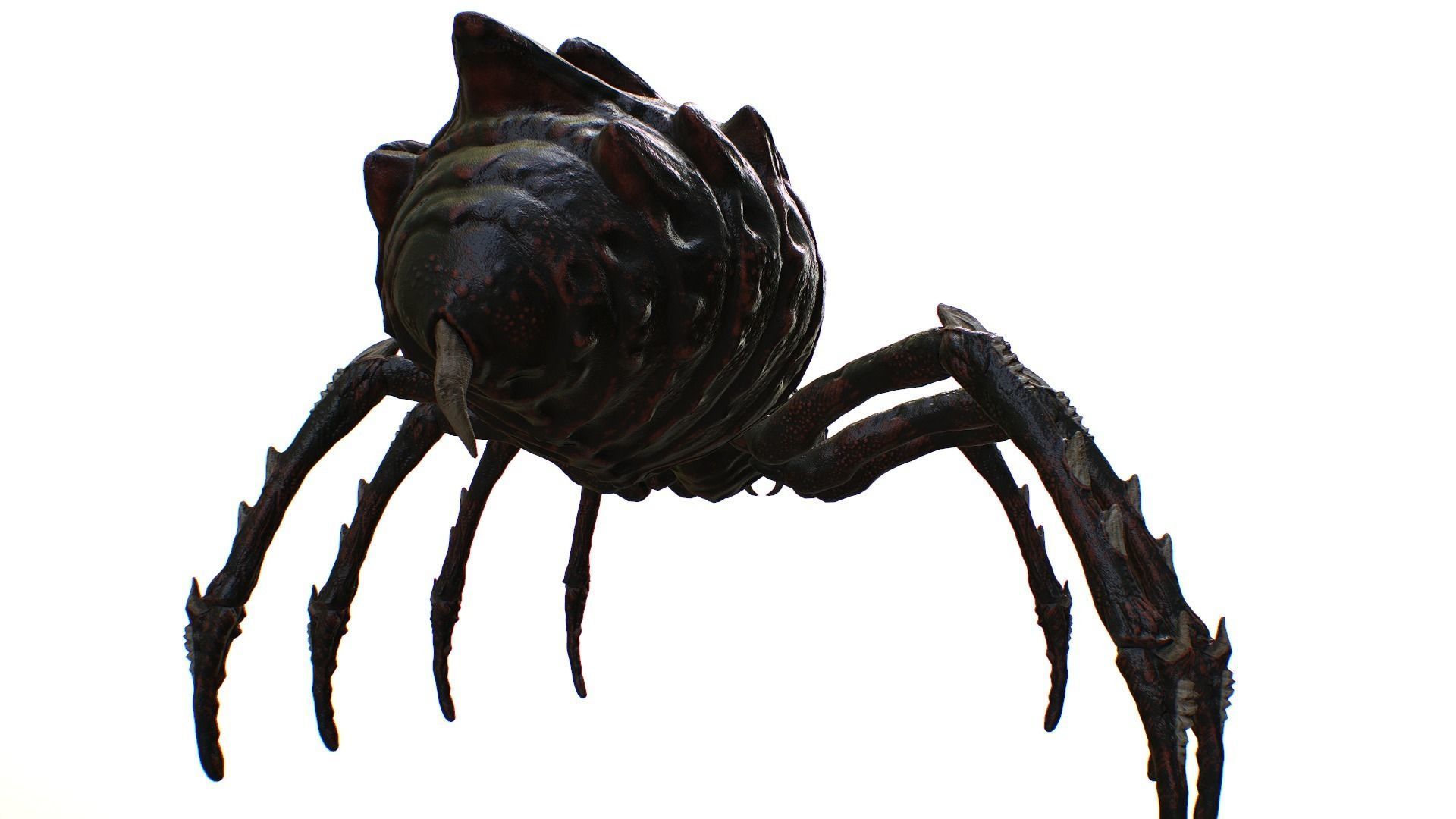 Spider Warrior Low-poly 3D model_27