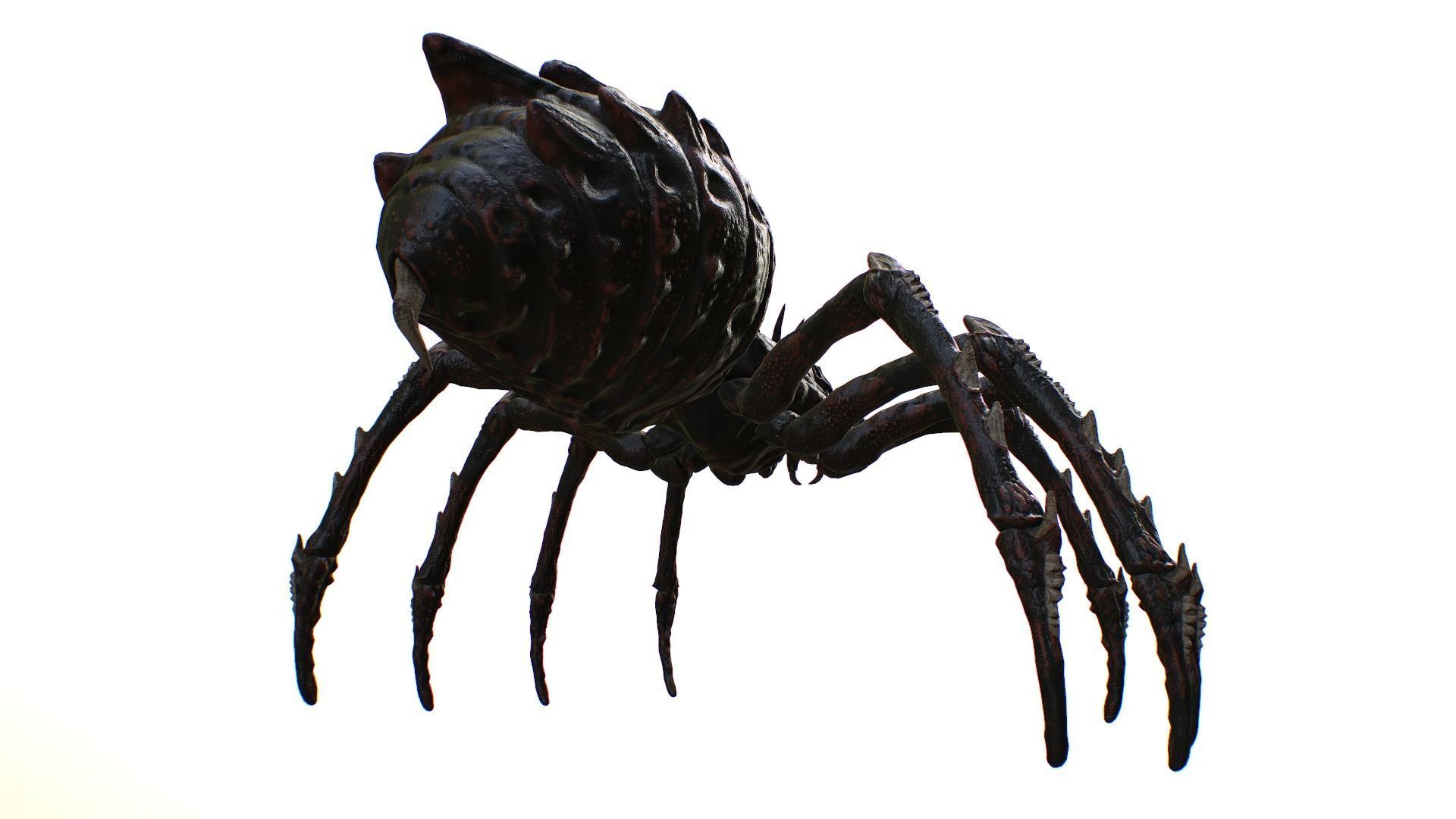 Spider Warrior Low-poly 3D model_20