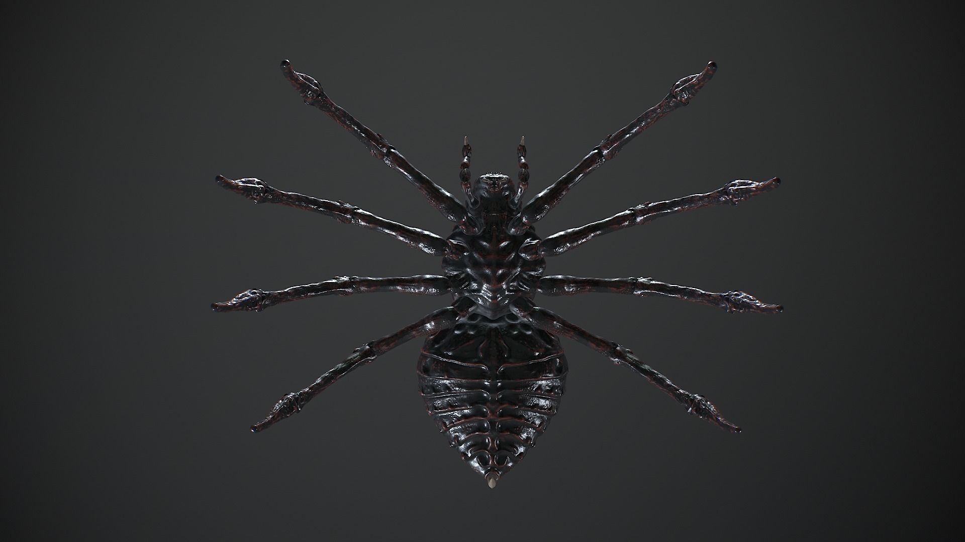 Spider Warrior Low-poly 3D model_9