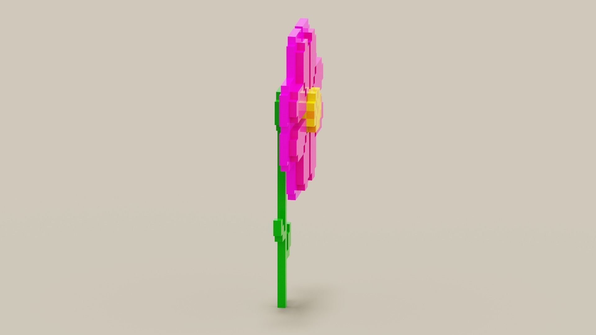 Voxel Pink Daisy Low-poly 3D model_6