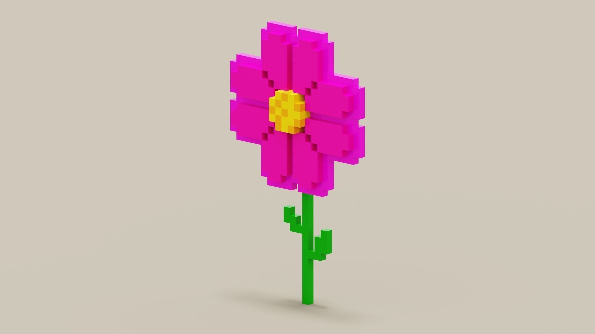 Voxel Pink Daisy Low-poly 3D model_2