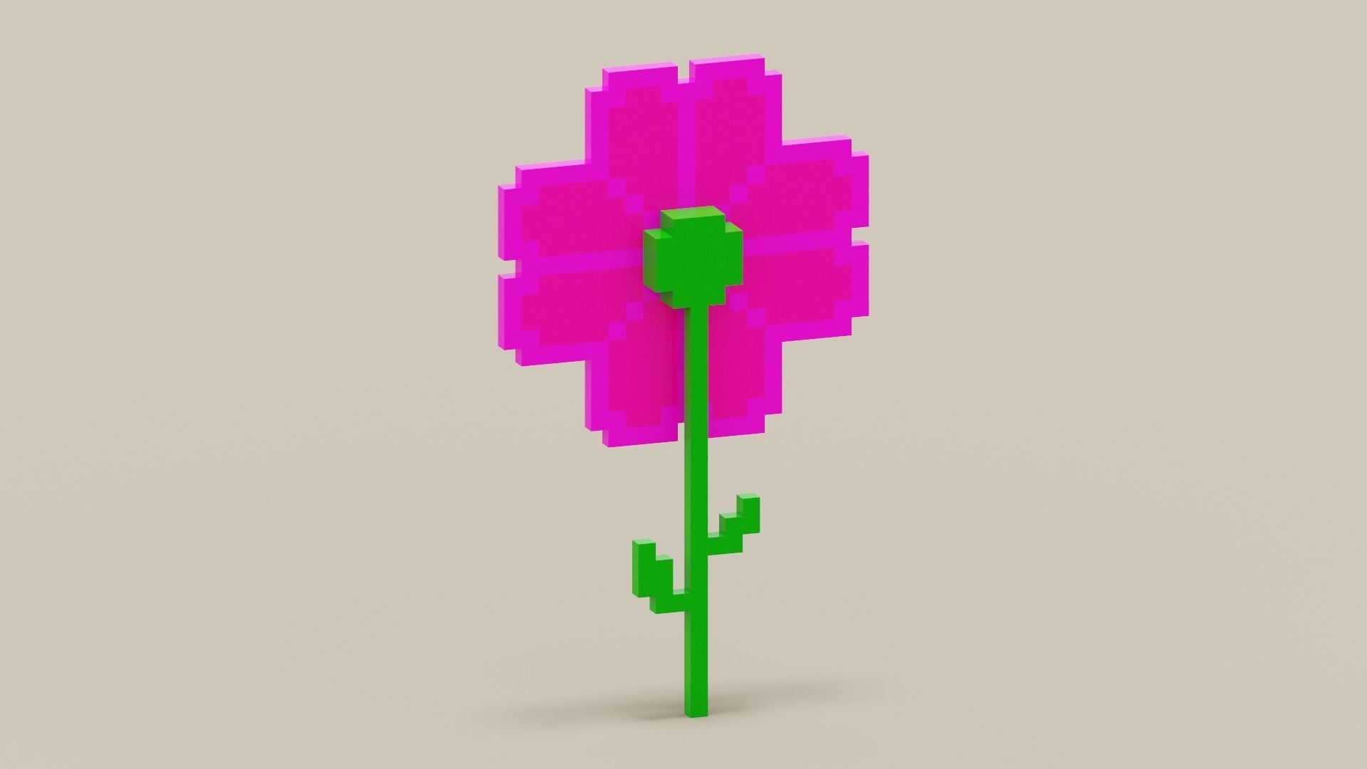 Voxel Pink Daisy Low-poly 3D model_10
