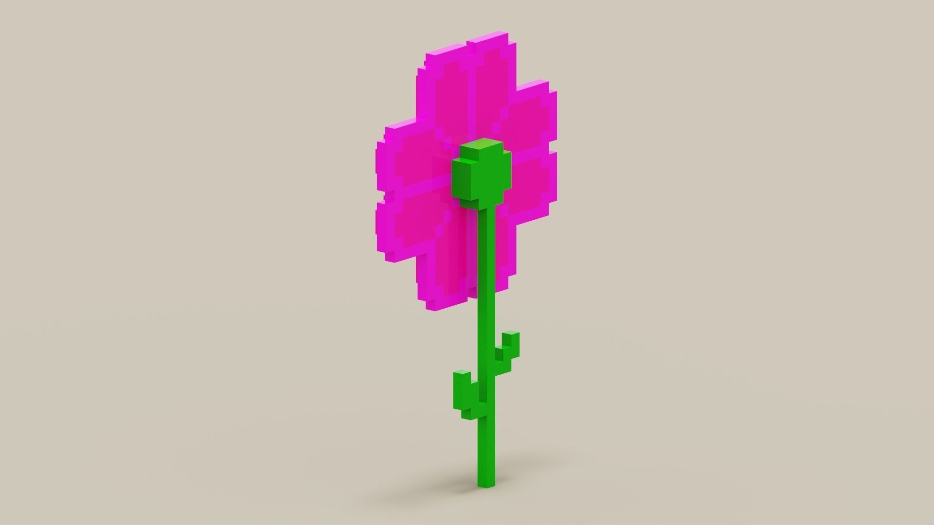 Voxel Pink Daisy Low-poly 3D model_5
