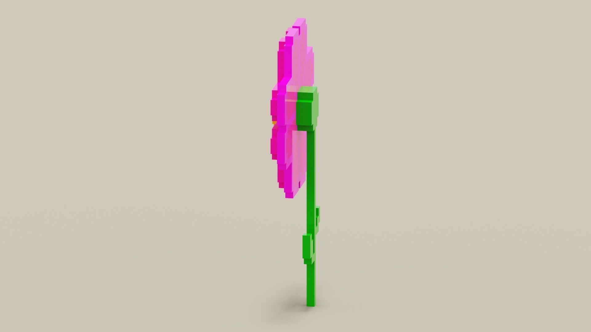 Voxel Pink Daisy Low-poly 3D model_4