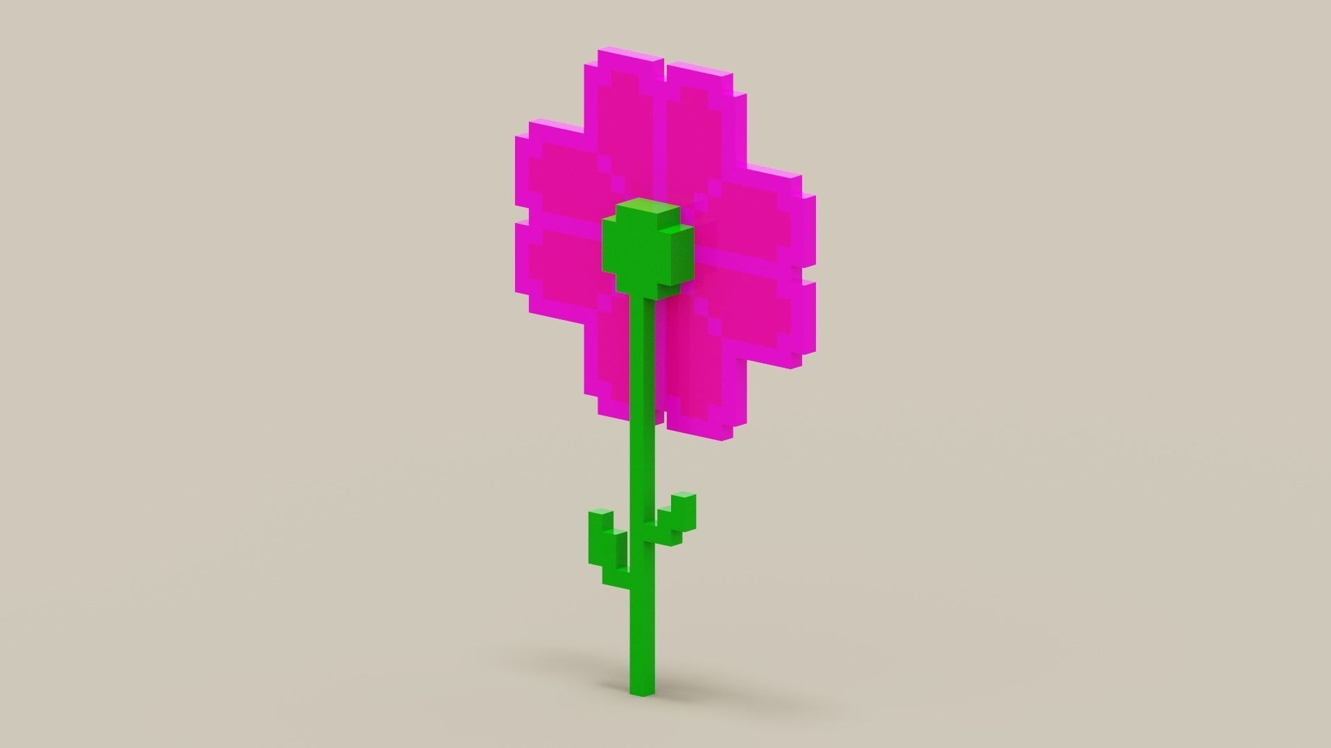 Voxel Pink Daisy Low-poly 3D model_11