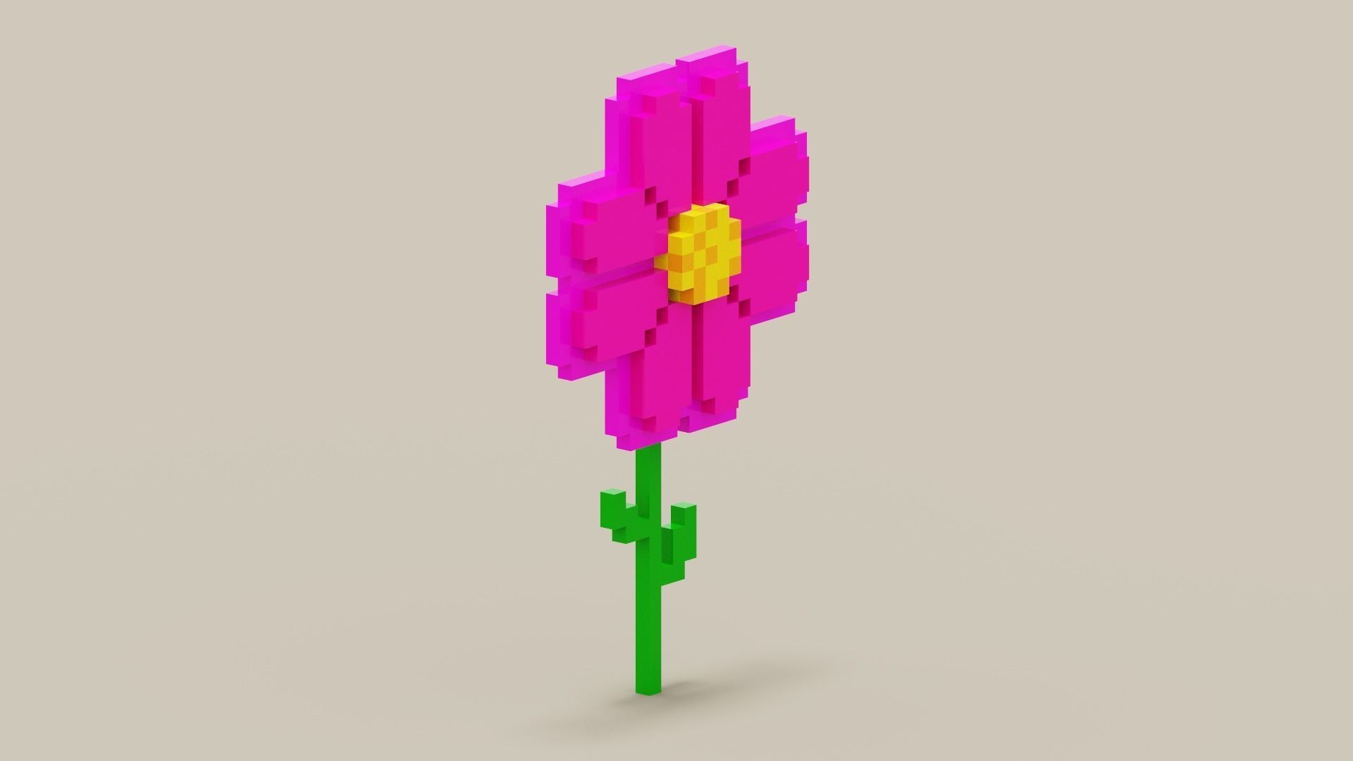 Voxel Pink Daisy Low-poly 3D model_1