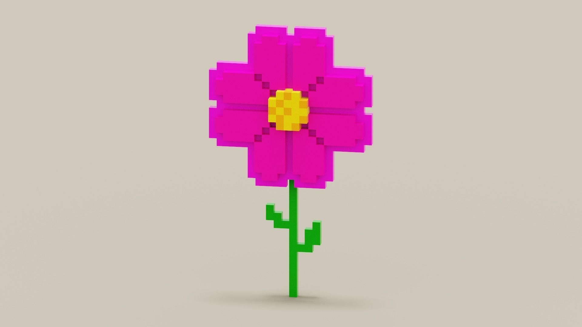 Voxel Pink Daisy Low-poly 3D model_7