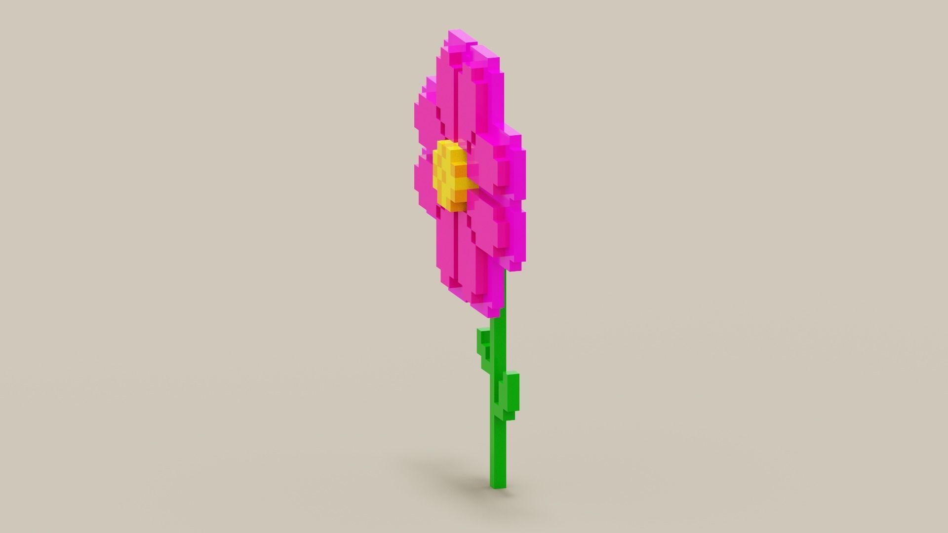 Voxel Pink Daisy Low-poly 3D model_3