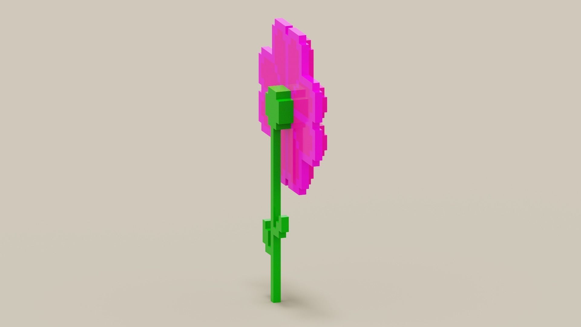 Voxel Pink Daisy Low-poly 3D model_8