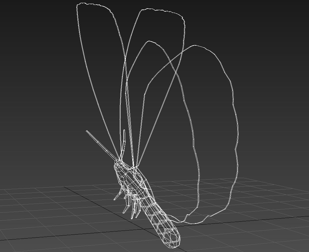 Yellow butterfly 3D model_14