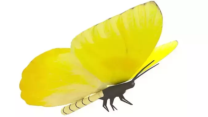 Yellow butterfly 3D model