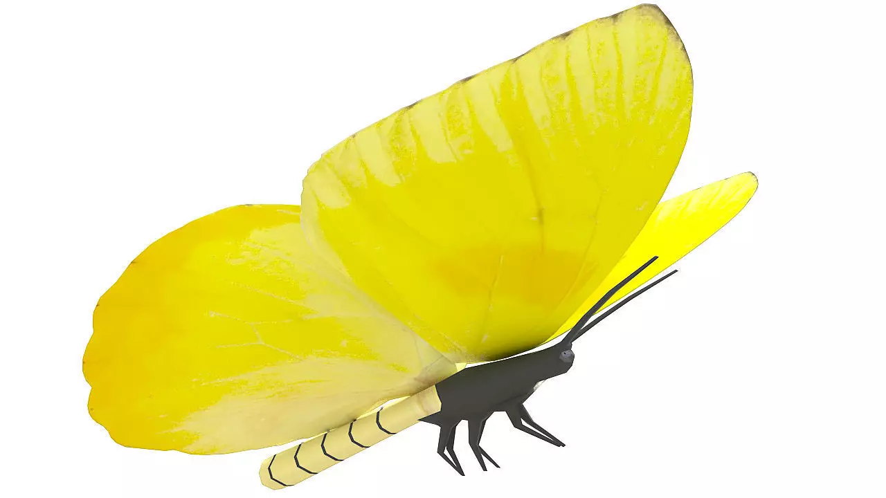 Yellow butterfly 3D model_0