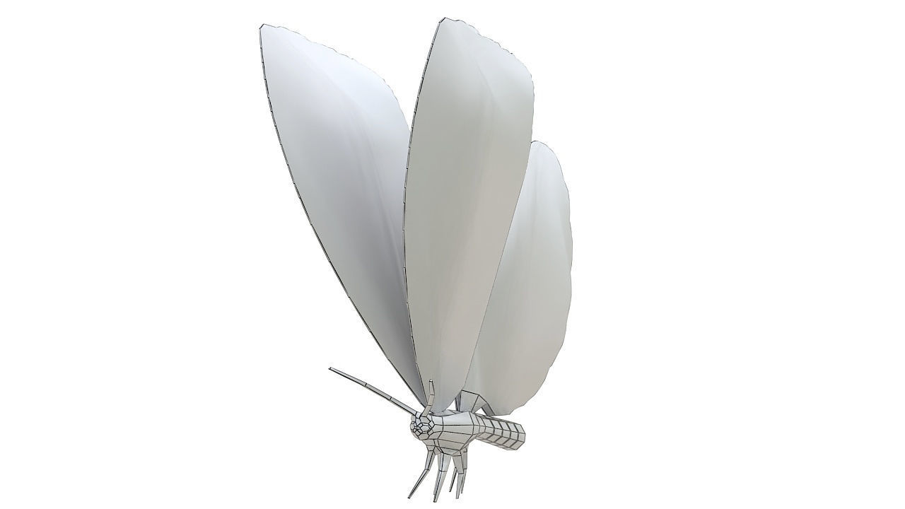 Yellow butterfly 3D model_9