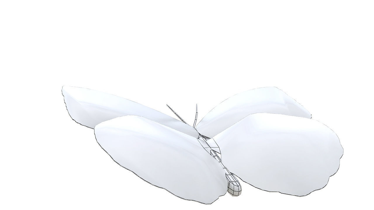 Yellow butterfly 3D model_12