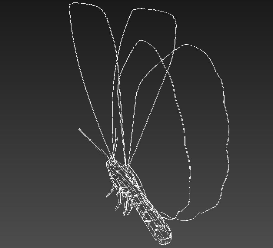 Yellow butterfly 3D model_15