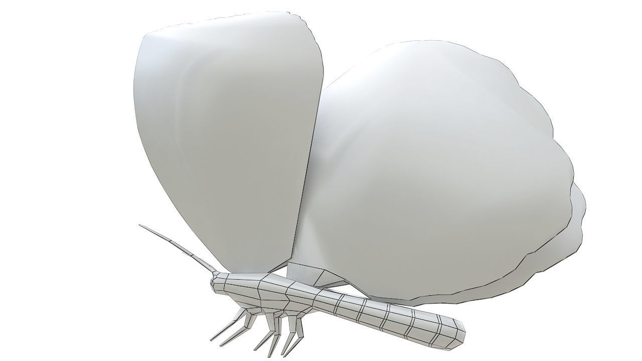 Yellow butterfly 3D model_10