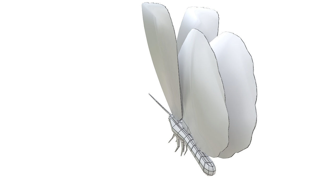 Yellow butterfly 3D model_13