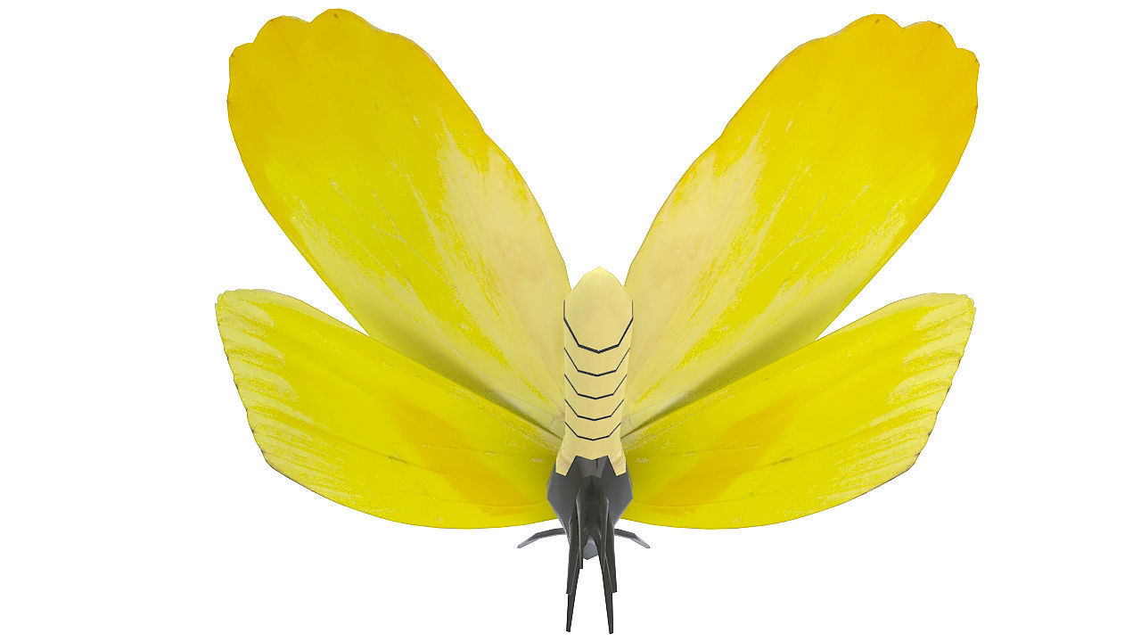Yellow butterfly 3D model_4