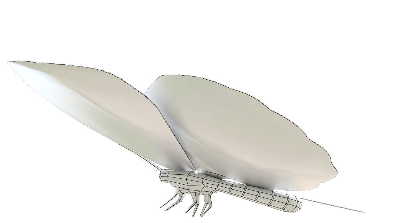 Yellow butterfly 3D model_11