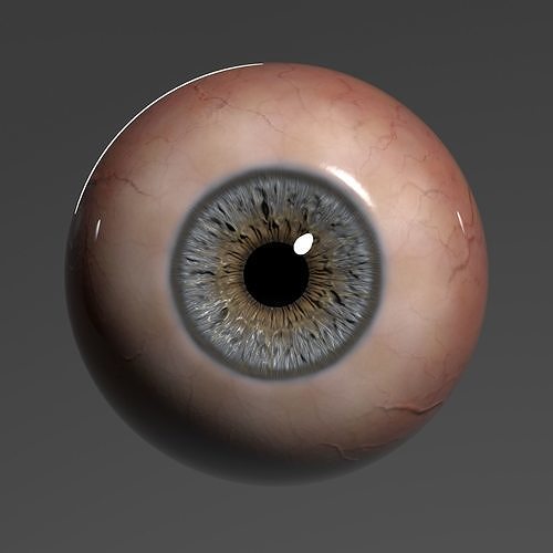 Realistic Eye human 3D model