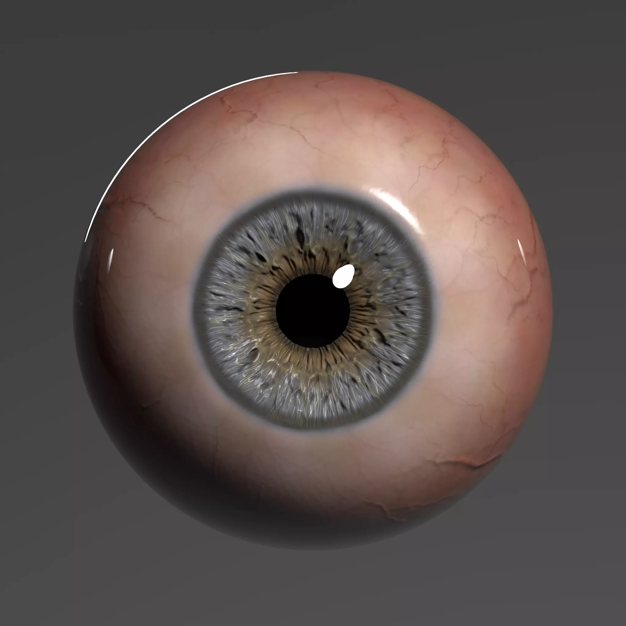 Realistic Eye human 3D model