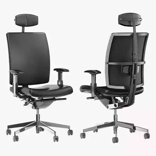 Dauphin high way executive office chair