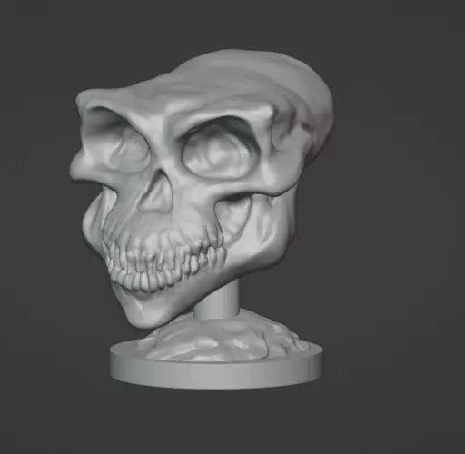 Gremlins Skull Display 3D print model