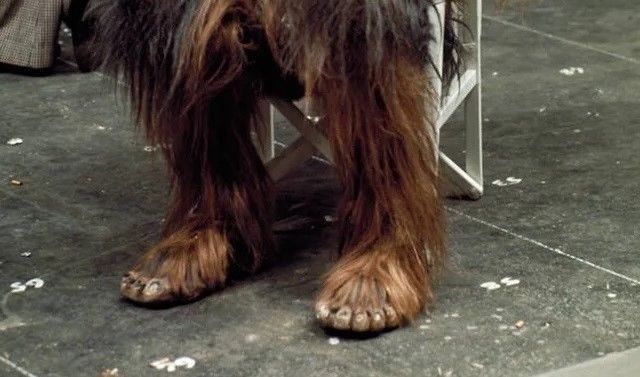 Chewbacca Toes Feet cosplay 3D print model_2
