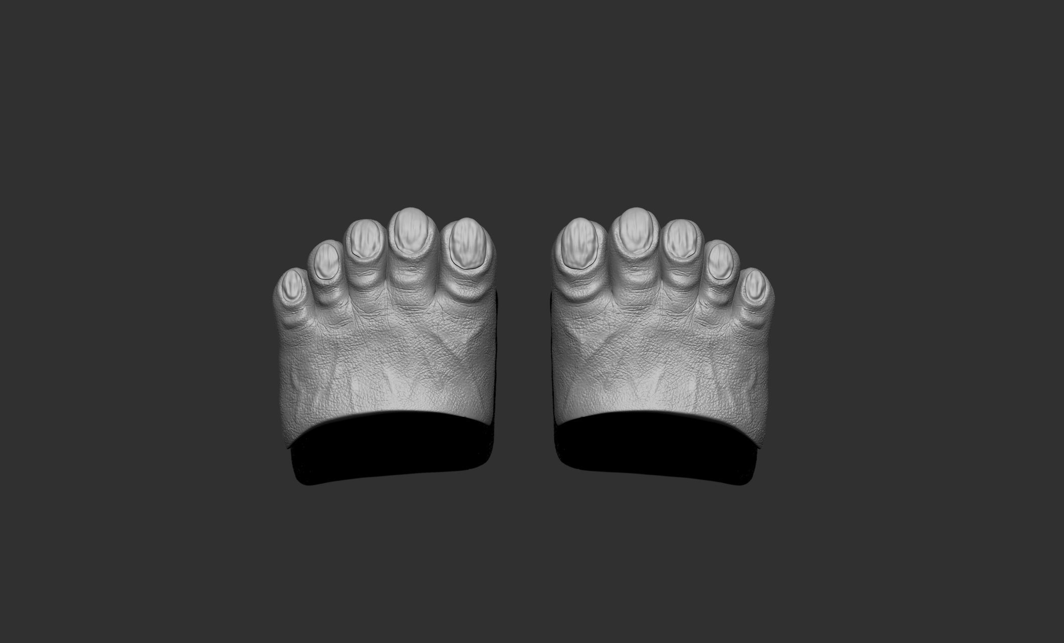 Chewbacca Toes Feet cosplay 3D print model_3