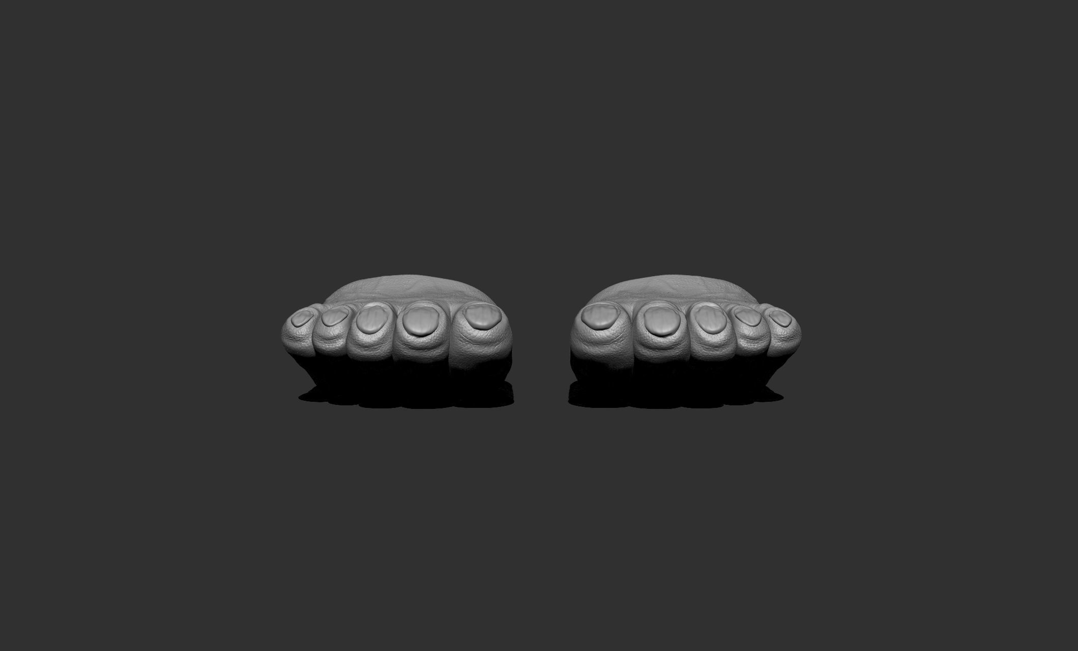 Chewbacca Toes Feet cosplay 3D print model_4