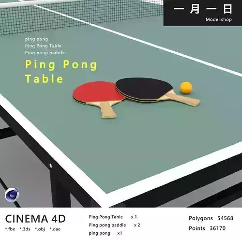 Ping Pong Table
