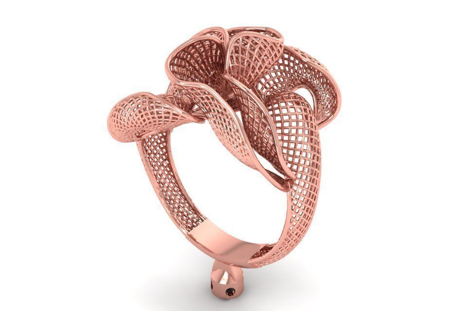 Filigree Ring STL OBJ FBX Renders Details 3D print model_2