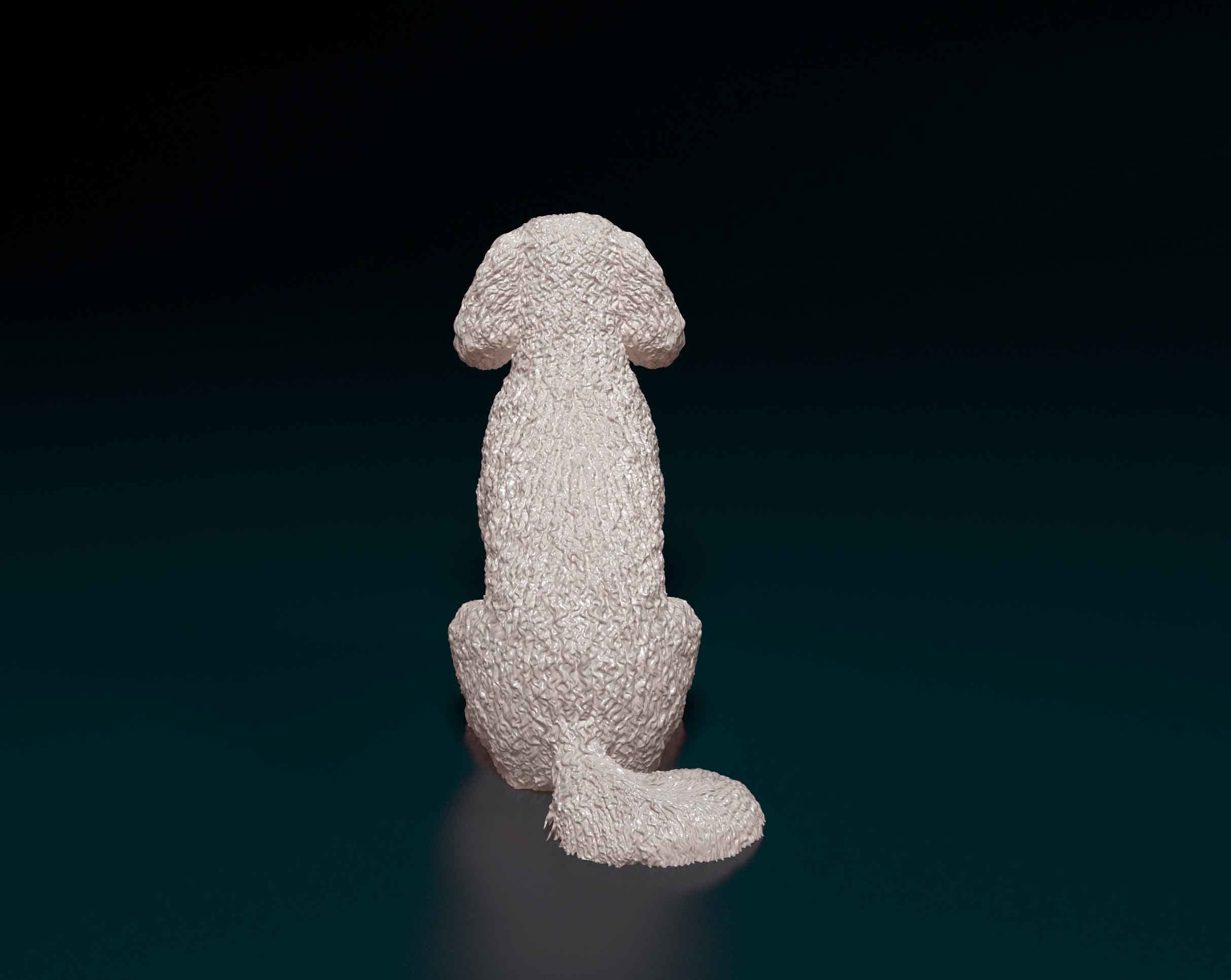 Bichon Frise 3D print model_3