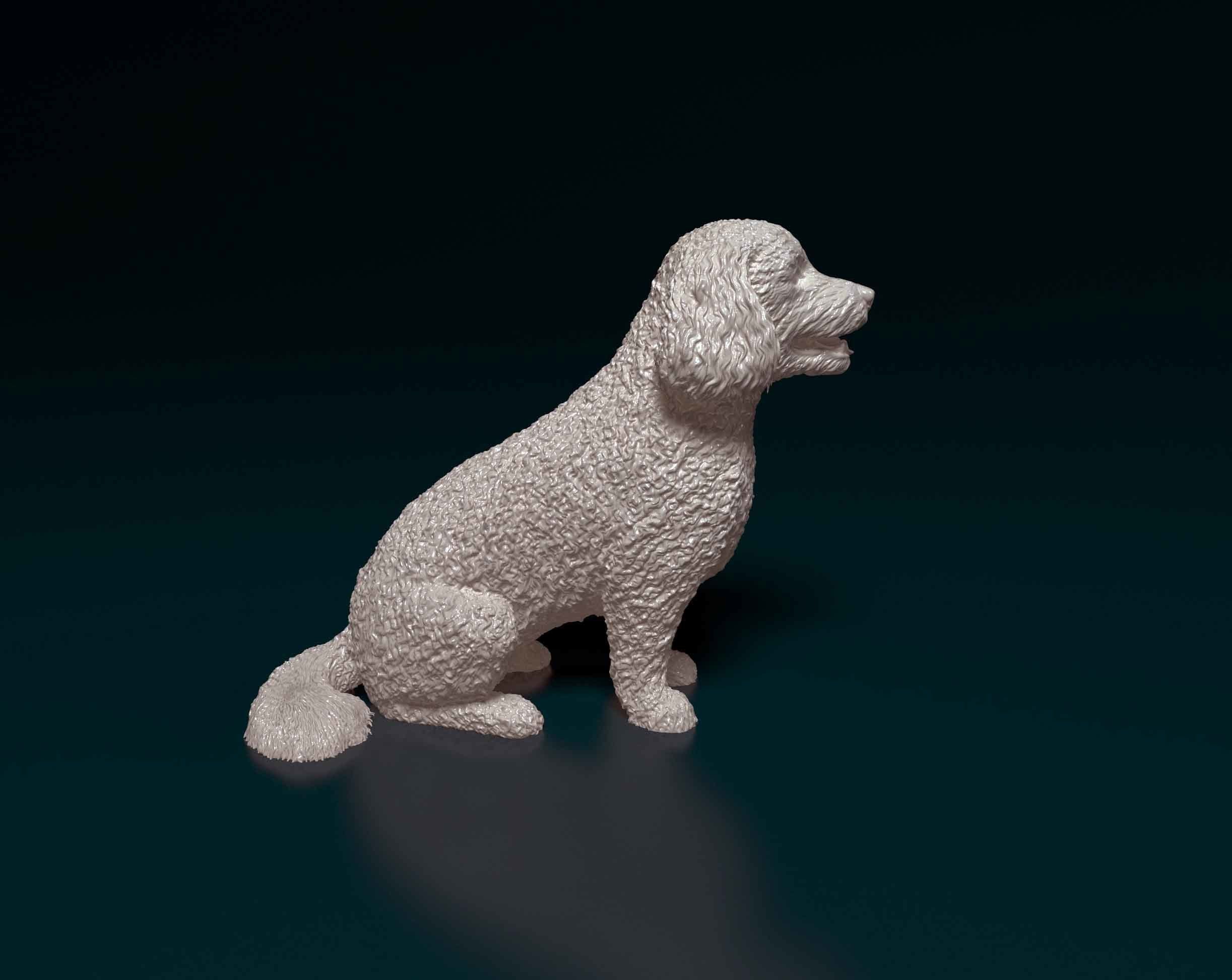 Bichon Frise 3D print model_1