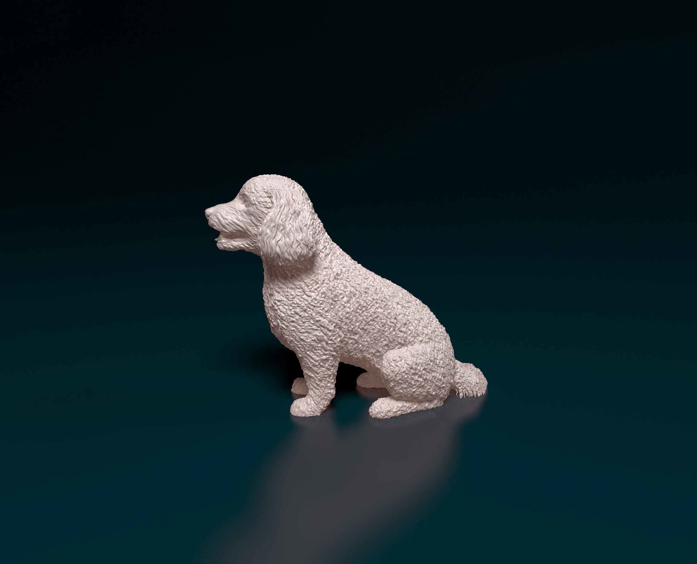 Bichon Frise 3D print model_4