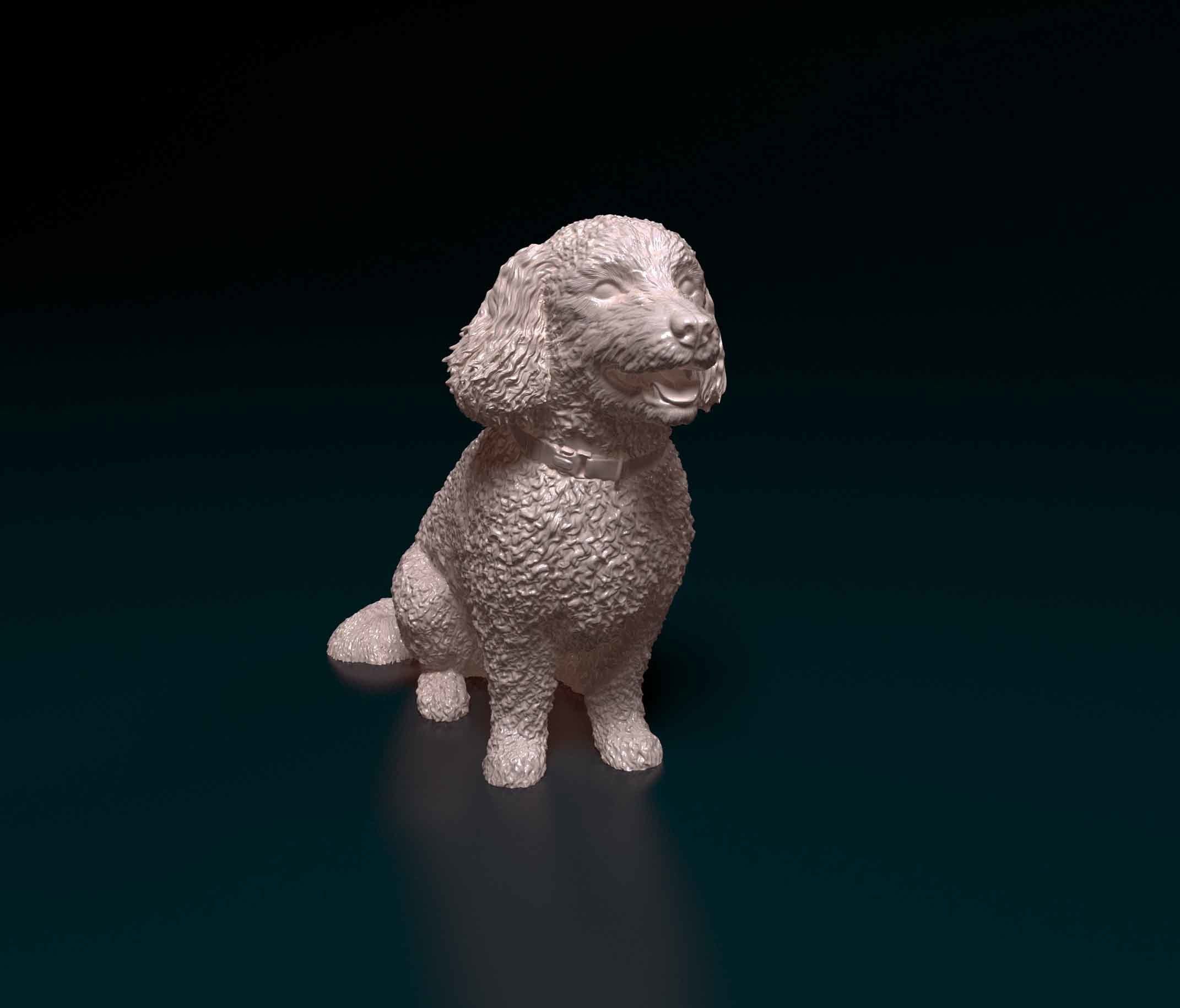 Bichon Frise 3D print model_7