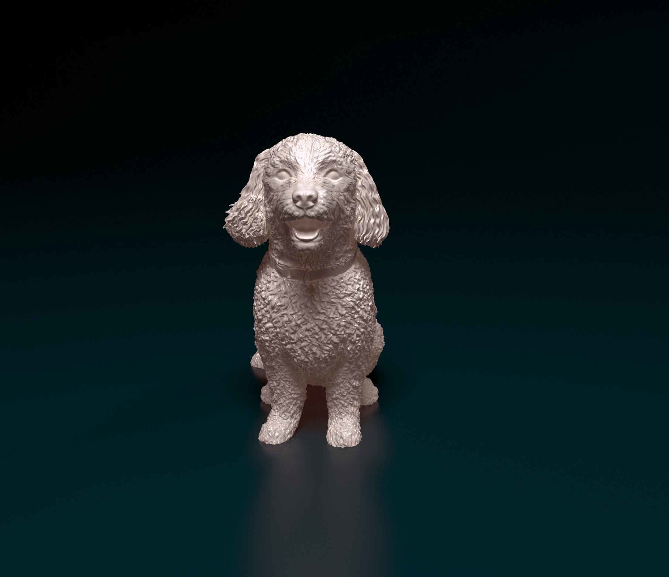 Bichon Frise 3D print model_8