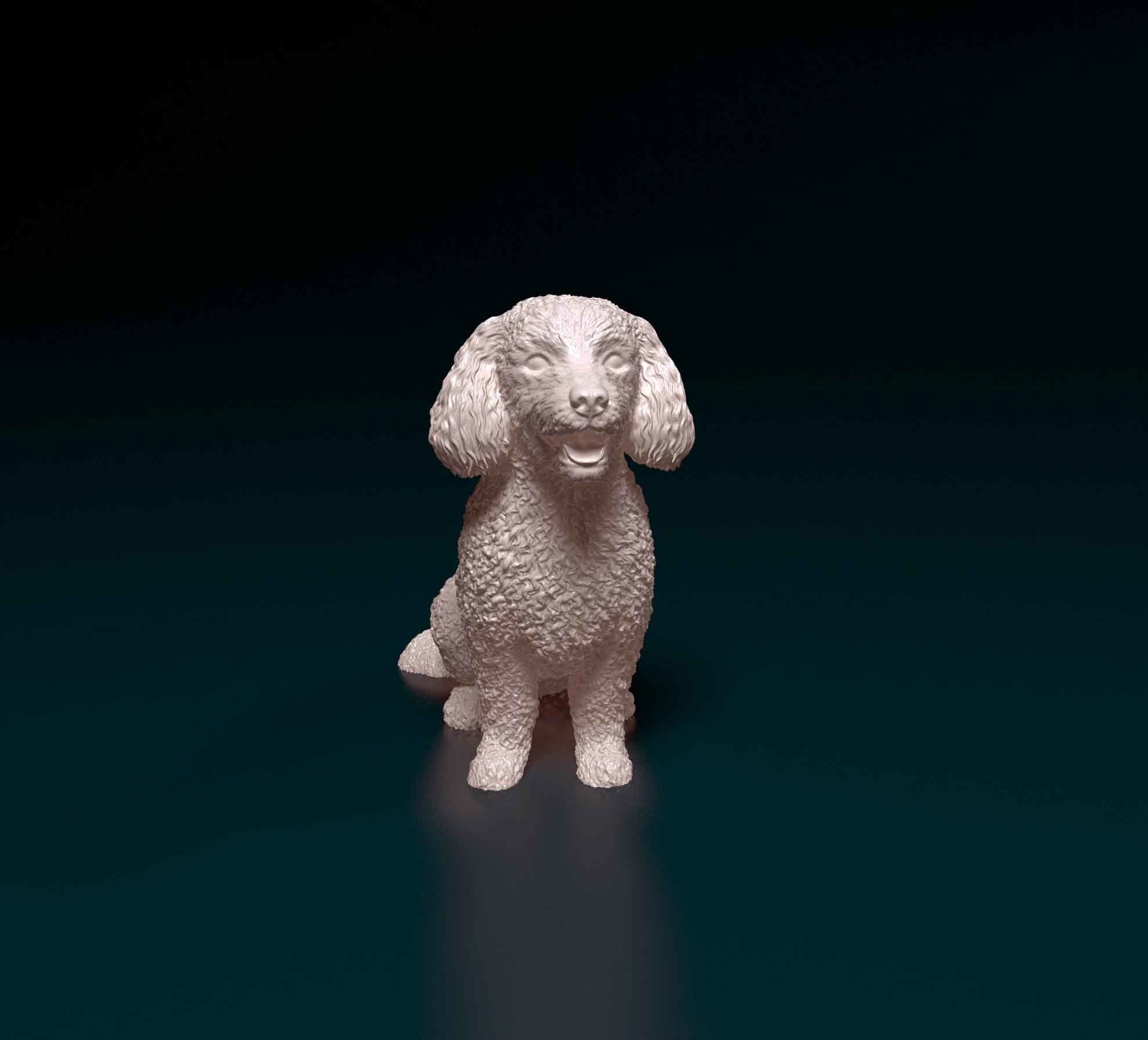 Bichon Frise 3D print model_5