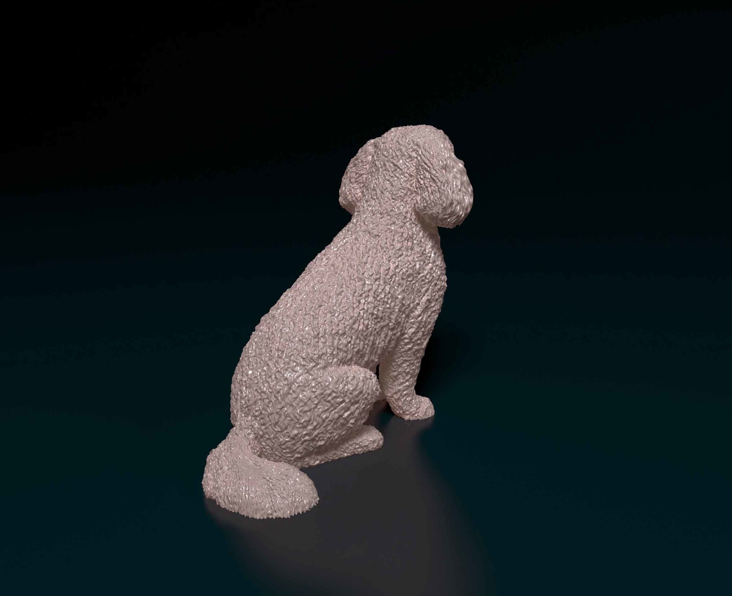 Bichon Frise 3D print model_2