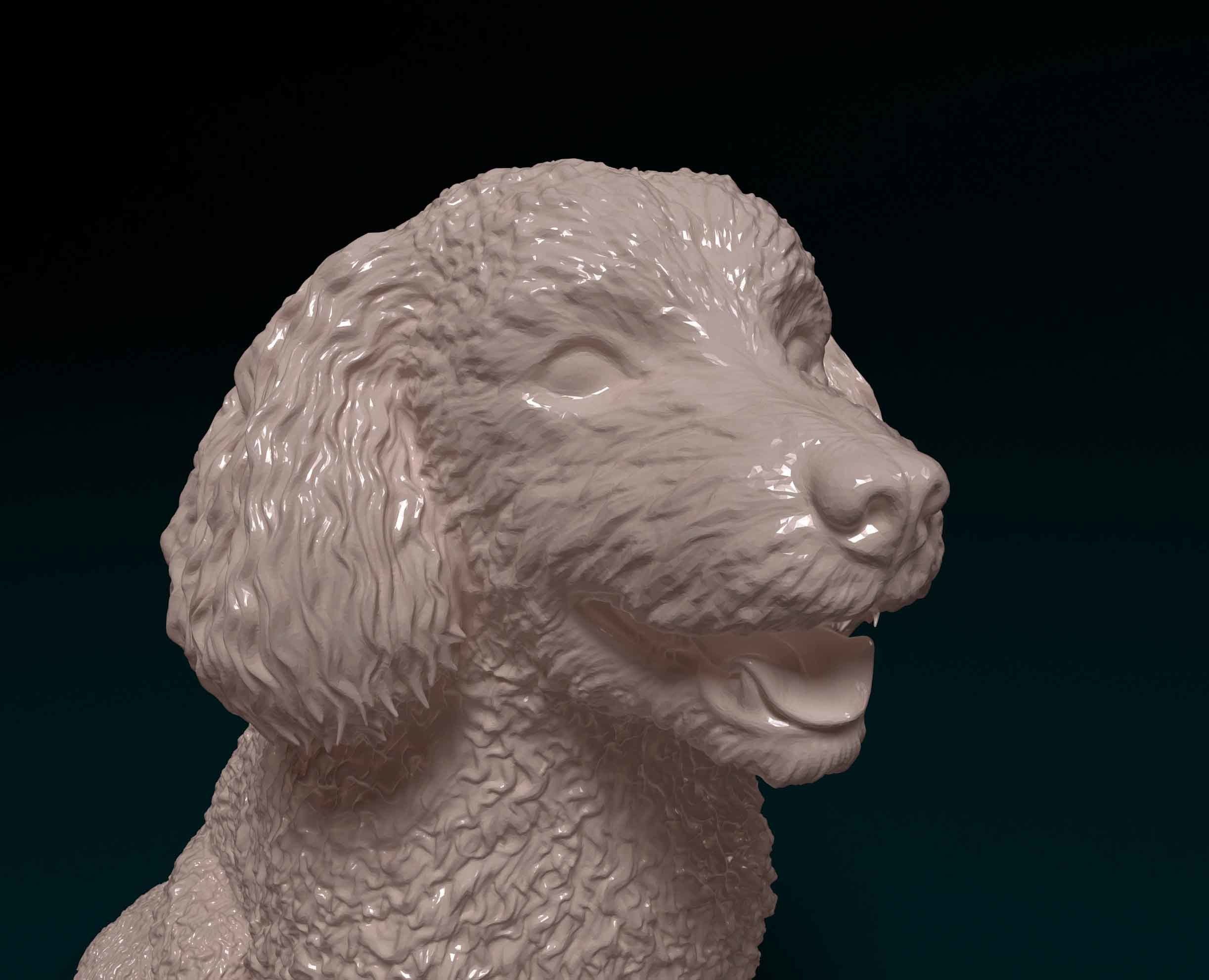 Bichon Frise 3D print model_6