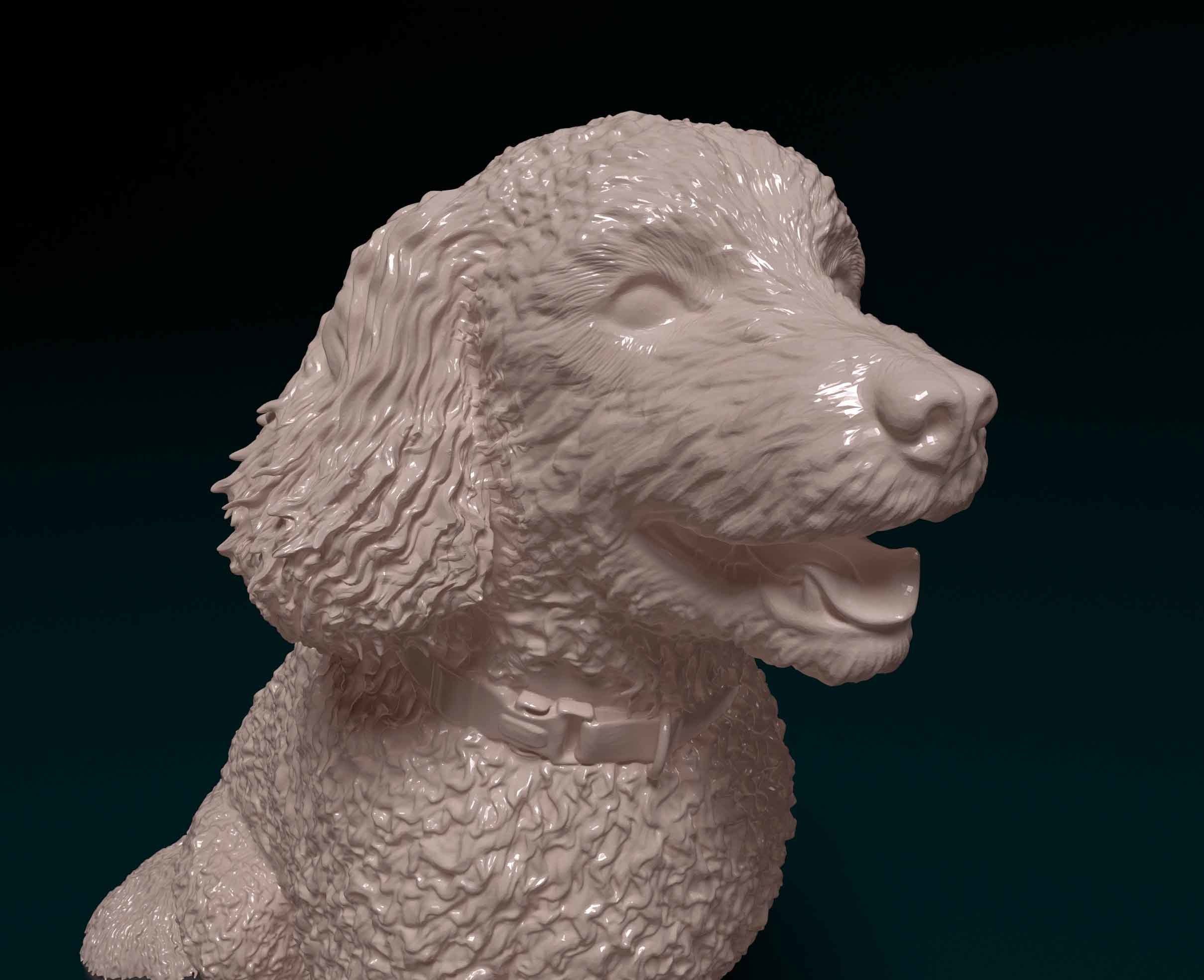 Bichon Frise 3D print model_9
