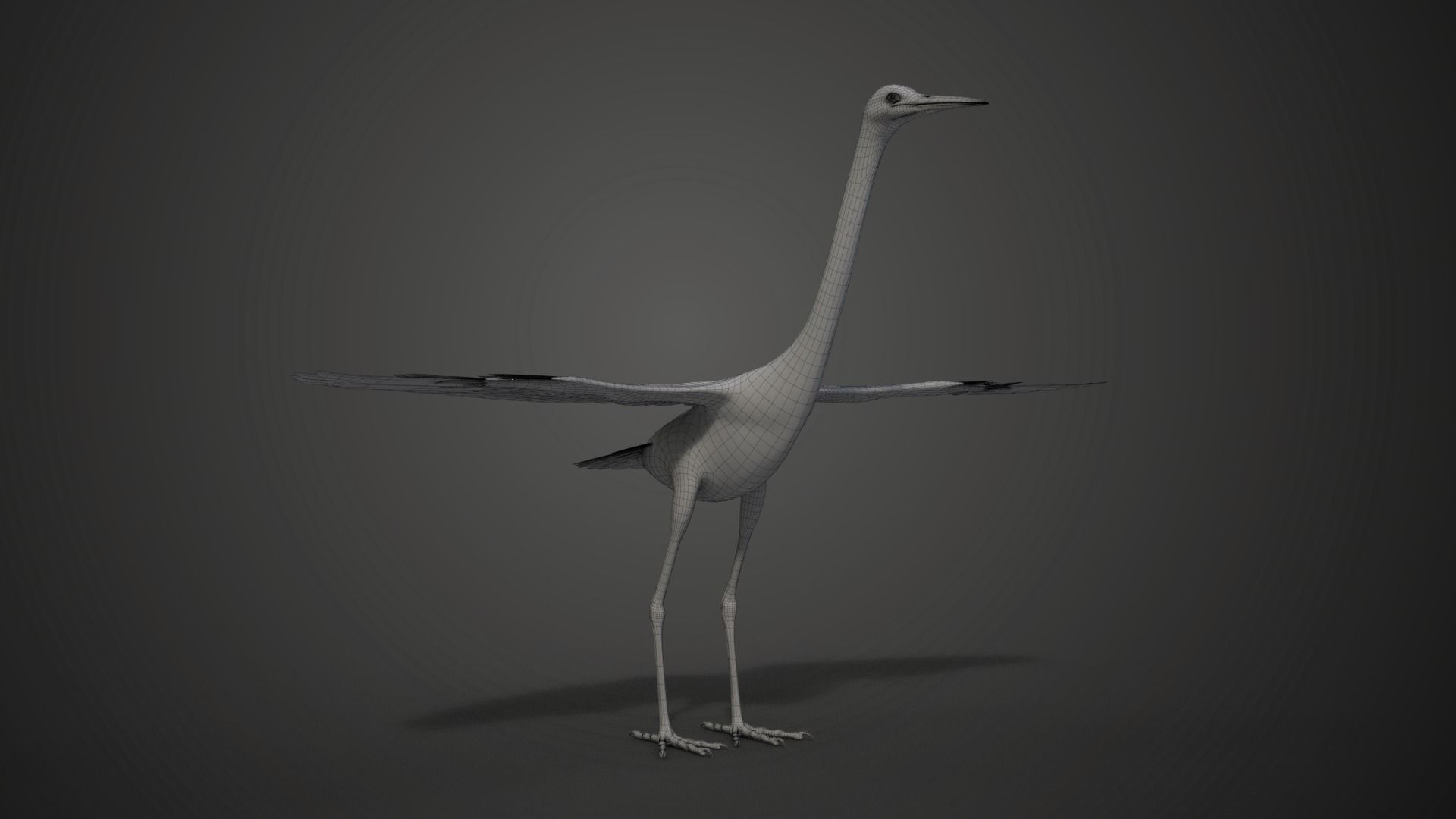 Egret Animated VFX Grace 3D model_27